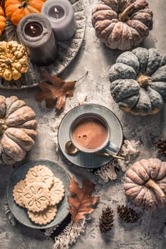 Chai chocolate  or hot cacao with chai cookies, pumpkins for Thanksgiving breakfast. Cozy autumn still life, hygge.