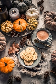 Chai chocolate  or hot cacao with chai cookies, pumpkins for Thanksgiving breakfast. Cozy autumn still life, hygge.