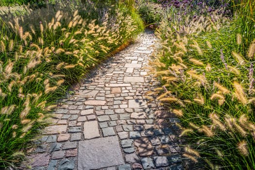 Paved path in natural garden with ornamental grasses in backyard or patio