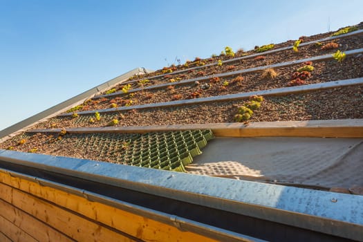 Concept of  green roofing with gravel drainage  and sedum plants