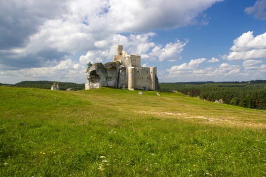 Ruins of medieval castle Mirow -  Eagle's Nest Trail in Bobolice in Poland