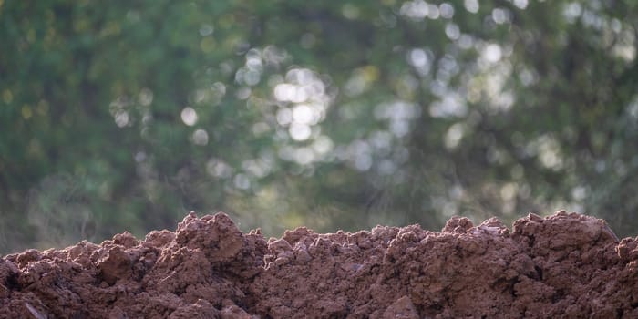 Fresh steaming earth soil in green nature