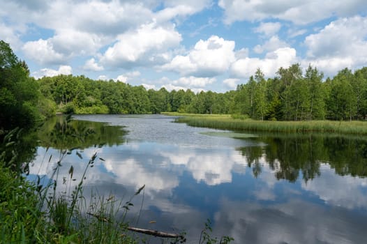 Reservoir at the red moor in the high Rhoen, Hesse, Germany. With blue sky and white clouds and reflection in the water