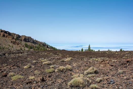 Volcanic landscape in El Teide National Park on the Canary Island of Tenerife, Spain
