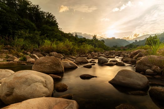 Stone river and sun ray in forest, River stone and tree with sun beam, View water river tree