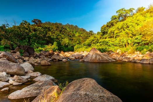 Stone river and sun ray in forest, River stone and tree with sun beam, View water river tree