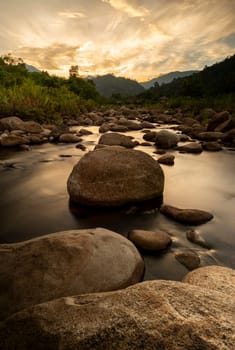 River stone and tree with sun light, View water river tree, Stone river and sun ray in forest
