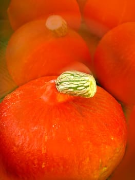 Hokkaid squash in a row with background blurred
