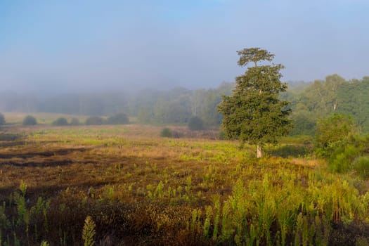 View on the nature and landscape of rural Galicia in Spain in the vincinity of the city of Friol on the Camino Primitivo de Compostela