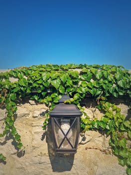 Vintage street lamp hang on an old stone masonry hedge overgrown with wild vines