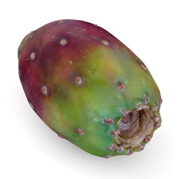 prickly pear on white background cactus fruit healthy vegetarian food 3D illustration