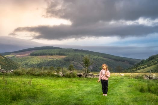 Young girl holding handful of grass and going to feed sheep. Family hike in Lough Dan, Wicklow Mountains, Ireland