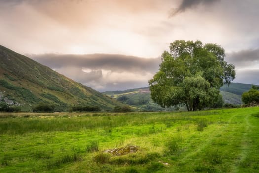 Beautifull green field and trees in mountain valley. Lake Lough Dan at sunset in Wicklow Mountains, Ireland