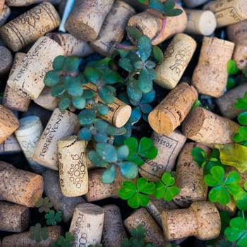 Naples, Italy - 2023 February 21: Wine corks illustrative editorial background, outdoors photo