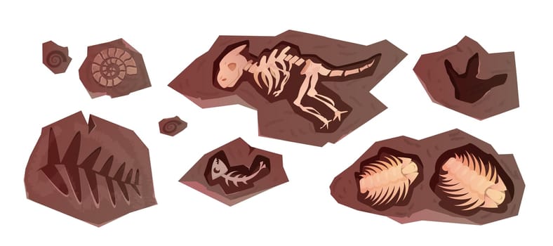 Cartoon archaeological fossil of dinosaurs skeletons, reptiles, sea animals and plant. Ancient stone sections with bones of prehistoric ammonites, marine trilobites. Excavation elements of dino foot.