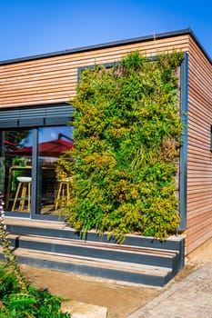 Wooden house wall of modern house or cafe with vertical garden, modern design