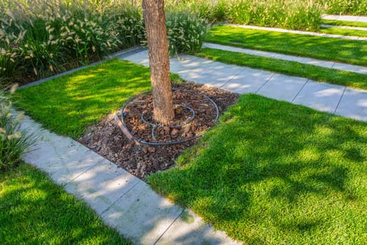 Building automatic watering for a tree in garden or park. Lawn and tree care.
