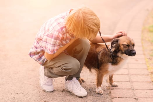 Cute boy playing and walking with his dog in the meadow.