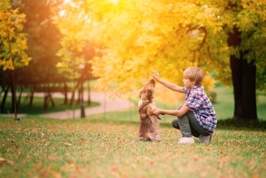 Cute boy playing and walking with his dog in the meadow.