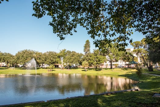 A lake in a recreational park in Saint Petersburg, Florida, USA
