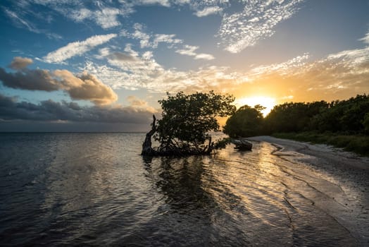 Sunset over the Everglades National Park, USA