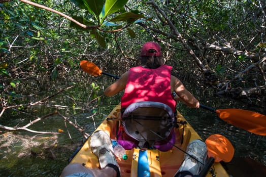 Canoeing through the Everglades swamp in Florida, USA