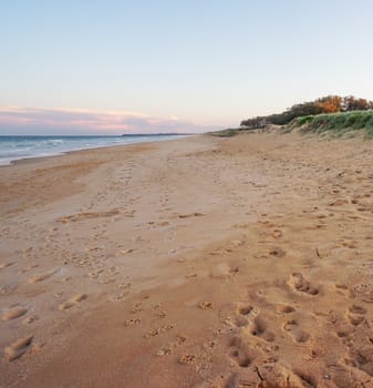 Footprints in the sand from people and dogs having fun on a sandy beach along the Kawana foreshores, Caloundra, Sunshine Coast, Queensland.