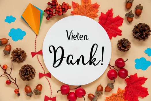 Fall Decoration, Colorful Autumn Leaves and Handicraft Kite, Round Label With German Text Vielen Dank, Which Mans Many Thanks In English