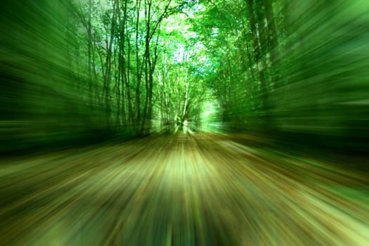 autumnal colored leaves on a forest way in vintage color, blurred