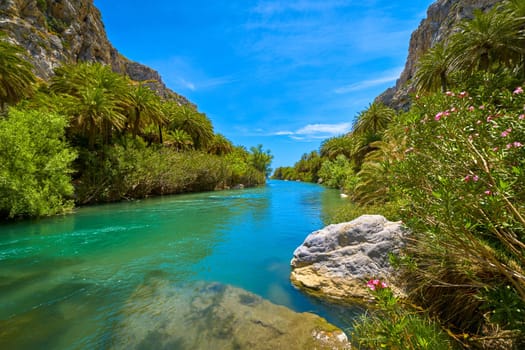 View of Kourtaliotis river and canyon near Preveli beach at Libyan sea, river and palm forest, southern Crete, Greece on clear sunny day. Travel destinations, gorge, blue sky with clouds, summer, sunshine, hiking, vacations, Mediterranean sea.