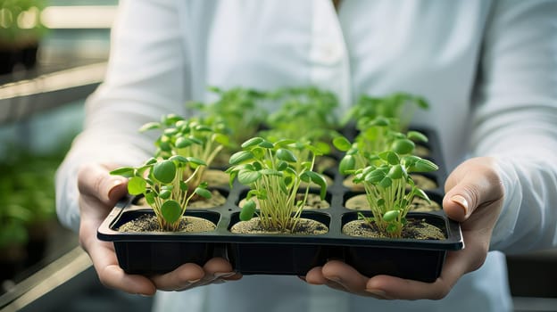 A geneticist holding a tray of mutated plant samples