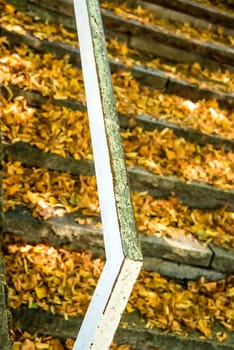 stairs with railings with fallen leaves