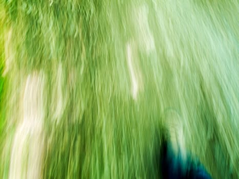 Blurred grasses caused by long exposure during a walk in summer.
