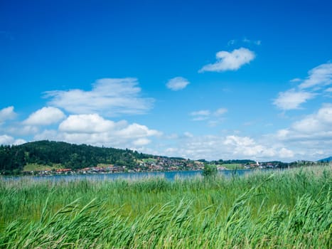 View over the Hopfensee in Bavaria from the opposite side of the village of Hopfen am See in summer against a blue sky with white clouds.