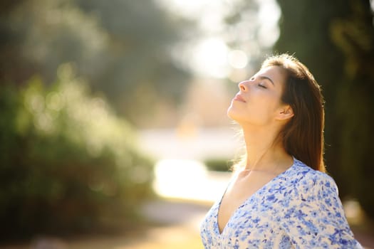 Profile of a happy woman breathing fresh air in a sunny day in a park
