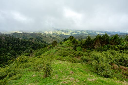 Jungle landscape. Rain forest in Tapanti national park, traditional misty cloudy weather. Green natural background. Costa Rica wilderness