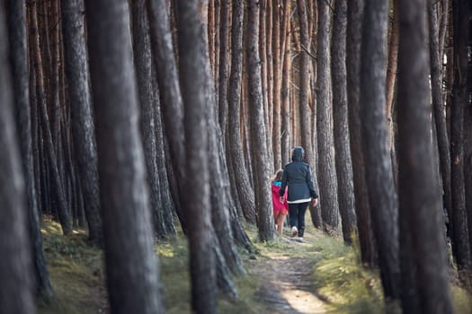 Summer vacation trip close to nature. Family walking in forest. People actively spending leisure time. Back view of woman with daughter enjoying long walk during summertime. Travel concept