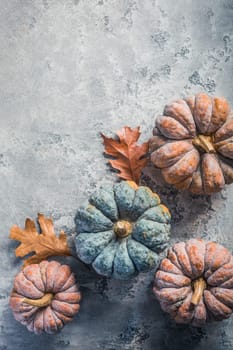 Pumpkins on grey background, autumn home decoration. Thanksgiving, Halloween and harvesting concept