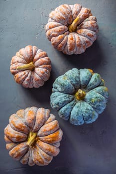 Pumpkins on grey background, autumn home decoration. Thanksgiving, Halloween and harvesting concept