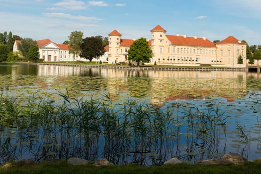 Schlif im Grinericksee vor dem Reinsberger Schloss.