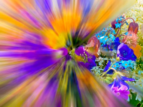 posy of flowers, partially blurred