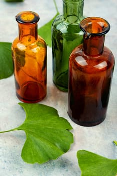 Ginkgo biloba leaves in traditional Chinese medicine. Herbal medicine
