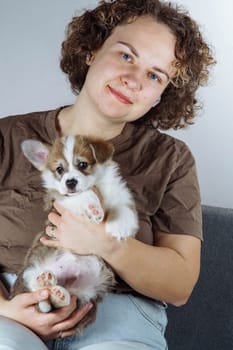 Portrait of positive young woman with curly dark hair wearing jeans, brown T-shirt, holding beautiful little brown white puppy of dog welsh pembroke corgi on hands, sitting on grey sofa. Vertical.