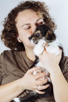 Portrait of happy young woman with curly hair wearing brown T-shirt holding on hands, kissing little black white puppy of dog welsh pembroke corgi on grey background. Pet love, pet care. Vertical.