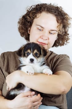 Portrait of smiling young woman with curly hair wearing jeans, brown T-shirt holding little black white puppy of dog welsh pembroke corgi on grey background. Pet love, pet care, friendship. Vertical.