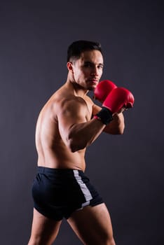 Boxing gloves, man training in a sports fight, challenge or mma competition on studio background.