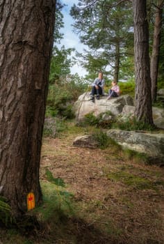 Mother and daughter sitting on a rock in pine forest. Fairy house, door, on pine tree. Family hike in Lead Mines, Wicklow Mountains, Ireland
