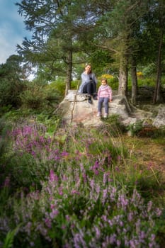 Mother and daughter sitting on a rock in pine forest with blooming purple heather in foreground. Family hike in Lead Mines, Wicklow Mountains, Ireland