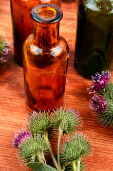 Healing plant burdock or Silybum marianum, herbal Medicine