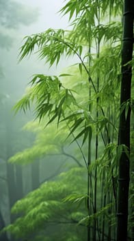 Vertical lines of a bamboo forest shrouded in misty haze. morning mist, zen world. Generative AI